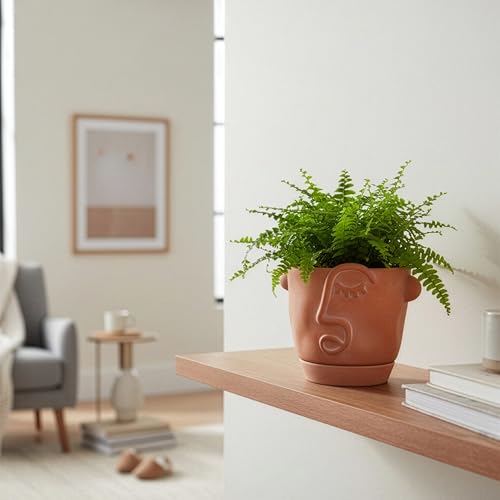 HERDUK 6 Inch Terracotta Abstract Face Planter with Drainage & Saucer – Artistic Ceramic Flower Pot for Indoor Plants, Boho Home Decor, Unique Gift for Plant & Art Lovers - size: 6 Inch