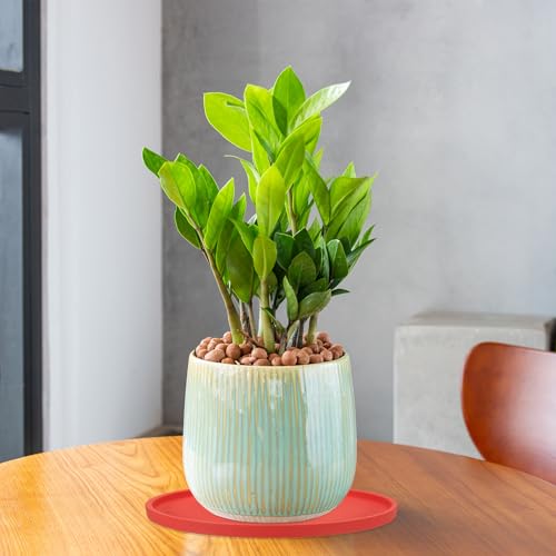 PATIKIL 6 Inch Round Ceramic Plant Saucer, Plant Saucer Tray Flower Planter Drip Tray for Indoors Outdoors Patio Balcony, White - color: White