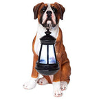 Bits and Pieces - Dog Solar Lantern Statue - Solar Powered Garden Lantern - Resin Dog Sculpture with LED Light - Outdoor Lighting and Décor (Boxer) - style: Boxer