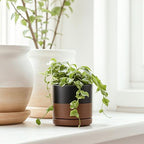 D'vine Dev Set of 2 Plants Pots, 3.5 Inch Ceramic Planter Pot for Plants with Drainage Hole and Saucer, Black/Speckled Tan, 94-V-A-7 - color: Black/Speckled Tan, size: 3.5 Inch