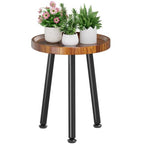 Ekisemio Plant Stand Outdoor Indoor, Mid Century Wood Side Table with Walnut Finish & Raised Edge, Modern Small End Table for Living Room (12.5"x18")