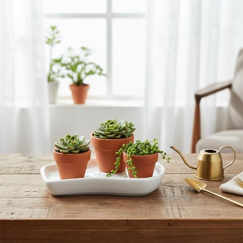 White Ceramic Trinket & Jewelry Tray Dish Set - 2 Pieces Minimalist Organizer for Earrings, Rings, Necklaces - Elegant Irregular Home Decor Accent
