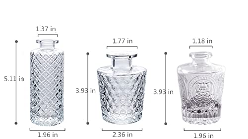 Set of 3 Mini Clear Glass Vase,Small Flower Bud Vase Hydroponics Planter Decorative for Flower,Table,Party,Home,Centerpieces(Clear 2) - color: Clear 2