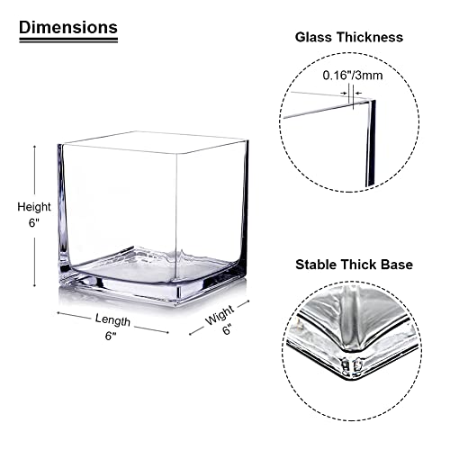 Enova Floral Cube Glass Vase - 6 x 6 Inch Square Vases with Floating Candle Holders, Perfect for Wedding Centerpieces and Home Office Decor - Set of 1 - size: 6x6x6
