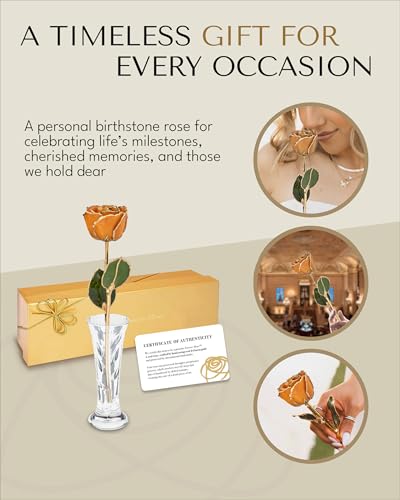 Forever Rose Hand-Dipped in 24K Gold, Golden Topaz-Inspired November Birthstone with Sparkles, Real Rose in Gold Gift Box & Clear Glass Bud Vase, Perfect Ready for November Birthday or Any Occasion - color: November Topaz