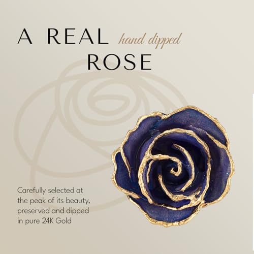 Forever Rose Hand-Dipped in 24K Gold, Tanzanite-Inspired December Birthstone with Sparkles, Real Rose in Luxury Gold Gift Box & Clear Glass Bud Vase, Perfect Ready for December Birthday - Any Occasion - color: December Tanzanite