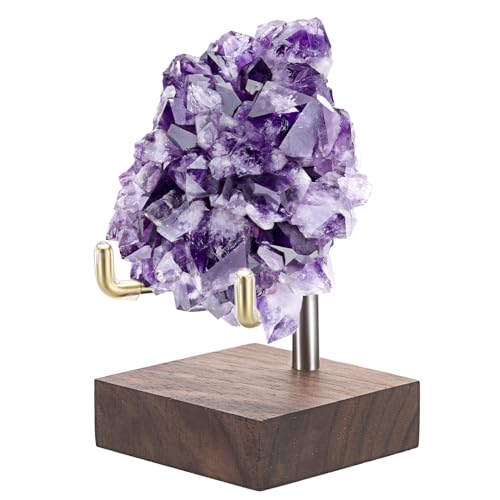 Hipiwe Adjustable Metal Arms Display Stand Easel with Wooden Base - Small Display Easel Holder for Displaying Fossil Coral Geodes Rock Mineral Agate Plate Seashell and Photos, 2"x2"x3.2"