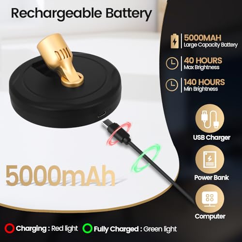 HAMVIDNE LED Spotlight, Rechargeable Battery Spot Lights with Remote, Uplighting Indoor, Stick Plant Spotlights for Wall Art Display Artwork Picture Painting-2Pack - color: Chargeable Black Gold, size: 2 Pack