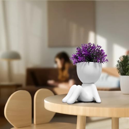 Zerzsy Mini Succulent Plant - Plants Gift - Cute Desktop Decoration Desk Decorations for Women Office - Potted Small Fake Plants for Indoor Decoration-Set of 1 - color: White-f