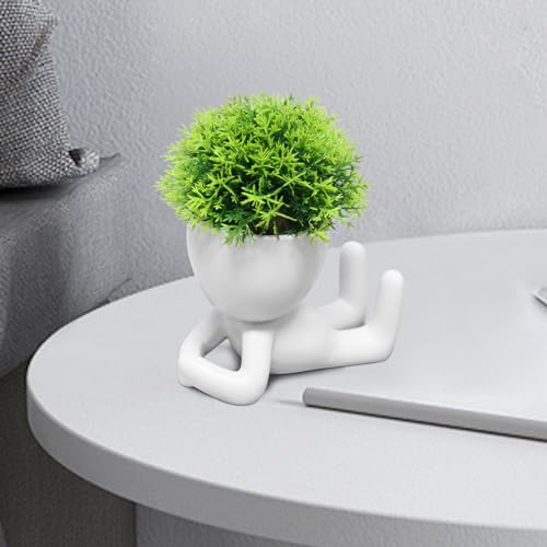 Zerzsy Mini Succulent Plant - Plants Gift - Cute Desktop Decoration Desk Decorations for Women Office -Small Plants Shelf Decor-Cute Cubicle Accessories-Set of 1 - color: White-g