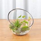 WGV Slant Cut Bowl Glass Vase, Width 9", Height 8.25", Clear Terrarium, Candy Dish, Fruit Jar, Floral Container for Wedding Party Event, Home Office Decor, 1 Piece - size: Slant Bowl 8"H