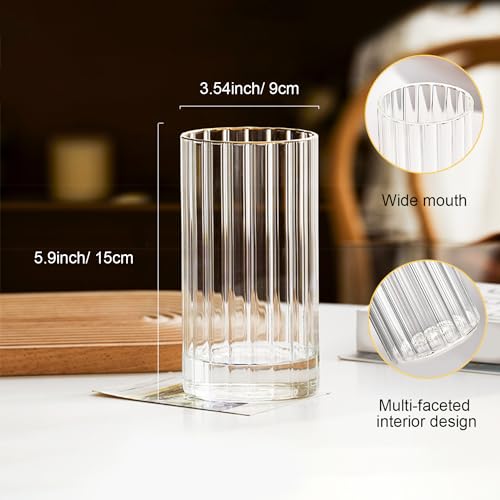Gute 6 Inch Glass Vases for Decor, Flower Vase for Home Decor, Modern Decorative Clear Vase Centerpieces Living Room, Kitchen - size: 6inch