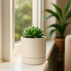 D'vine Dev Set of 2 Plants Pots, 4.7 Inch Ceramic Planter Pot for Plants with Drainage Hole and Saucer, Oatmeal, 94-V-B-8 - color: Oatmeal, size: 4.7 Inch