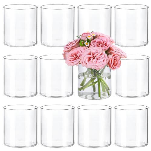 TBWIND 12pcs Small Glass Cylinder Vases for Centerpieces, 4 Inch Clear Flowers Vase for Wedding Decorations, Glass Hurricane Candle Holder for Home Decor Table Centerpiece - size: 12 Pack 4 Inch