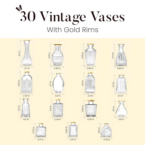 30 Pcs Premium Clear Bud Vases with Gold Rims - Small Bud Vases in Bulk for Table & Wedding Decor - Mini Vases for Flowers, Centerpieces and Home Decorations - Event Styling Vintage Vases - color: 30 Pcs Clear + Gold Rim, size: 30 Pcs