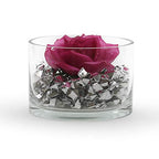 WGV Cylinder Vase, Width 6", Height 4", Clear Glass Container Terrarium Candle Holder for Wedding Centerpiece, Party Event, Home Office Decor, 1 Piece - size: 6"x4"H