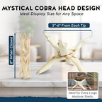 Alternative Imagination Wooden Tripod Display Stand - 8-Inch Hand Carved Holder Made from Mango Wood -Folding Natural Stand for Abalone Shell, Crystal Ball, Key Bowl,Trinket Dish, Incense,Decor & More - size: 8 Inches