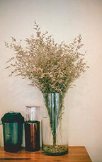 WGV Cylinder Vase, Width 7", Height 12", Clear Wide Large Diameter Flower Glassware, Floral Container, Planter Terrarium for Wedding Party Event, Home Accent Decor, 1 Piece - size: 7"x12"H