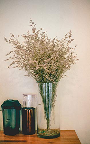 WGV Cylinder Glass Vase, Width 6", Height 12", [Different Heights Available] Clear Container Terrarium for Wedding Centerpiece, Party Event, Home Decor, 1 Piece - size: 6"x12"H