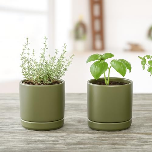 D'vine Dev Set of 2 Plants Pots, 3.5 Inch Ceramic Planter Pot for Plants with Drainage Hole and Saucer, Olive, 94-V-A-J - color: Olive, size: 3.5 Inch