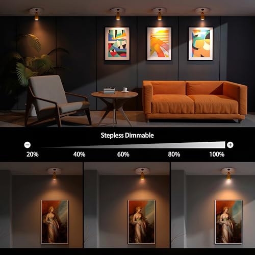 LED Spotlight Indoor,Rechargeable Battery Uplighting Indoor, Mini Accent Spot Lights for Plants Tree Wall Art Display Painting Artwork Portrait Dartboard Closet Gallery Photo-White 2Pack - color: White