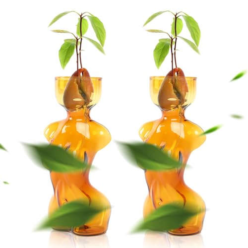 Propagation Vases for Plants Plant Propagation Jars Unique Body Avocado Vase Glass Planter Perfect for Seed Starting Water Rooting and Home Decor Gift for Father - color: Amber