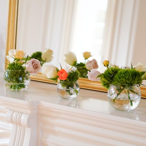 32 Pack Glass Bubble Vases, Small Clear Bud Vases (3 Textures 2 Sizes) Round Mini Globe Bubble Bowl Vases Bulk for Table Centerpieces, Candle Holders, Wedding Event & Home Decor