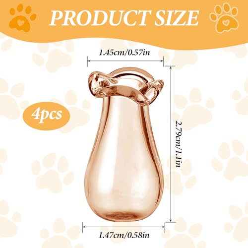 Ymapinc 1.1inch Tiny Cat Whisker Vase Holder, Glass Vase Miniature Decor Dollhouse Garden DIY Succulents, Cute Clear Decoration Jar, Transparent Green Blue Gray Tea - color: Green+blue+gray+brown