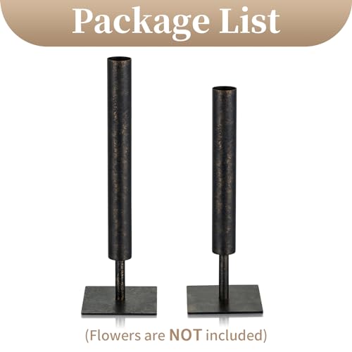 Sziqiqi Black Single Stem Vase Set - 15.5/13.8in Metal Large Flower Vases 2 Pcs Modern Vase for Home Decor Living Room Table Decorative Slim Vases for Pampas Grass Feathers Twigs Branches - style: Black Single Stem Vases