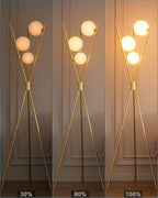 3 Globe Dimmable Tripod Floor Lamp, Mid Century Standing Lamps with 3Pcs 3000K Bulbs Included, Modern Tall Lamp for Living Room Bedroom Office-Gold - color: 3 Globe-Gold Tripod