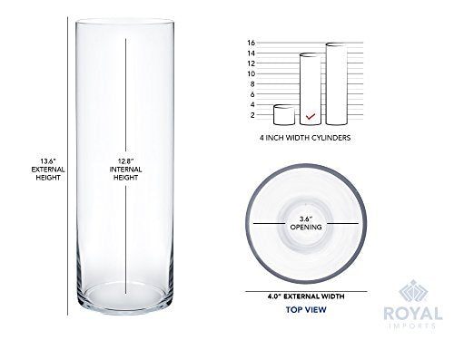 Royal Imports Flower Glass Vase Decorative Centerpiece for Home or Wedding - Cylinder Shape (4" Wide x 14" Tall, Clear) - size: 4" wide x 14" tall