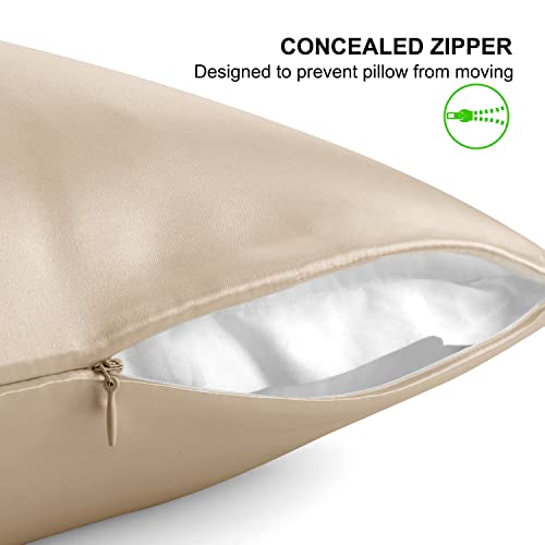 ALASKA BEAR Natural Silk Pillowcase, Hypoallergenic, 19 Momme, 600 Thread Count 100 Percent Mulberry Silk, Queen Size with Hidden Zipper (1,Champagne Gold) - color: Champagnegold, size: Queen 20''x30''