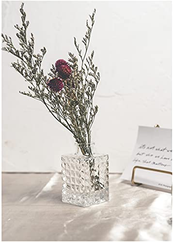 Mini Clear Glass Vase,Small Flower Bud Vase Hydroponics Planter Decorative for Flower,Table,Party,Home,Centerpieces(Clear 8) - color: Clear 8