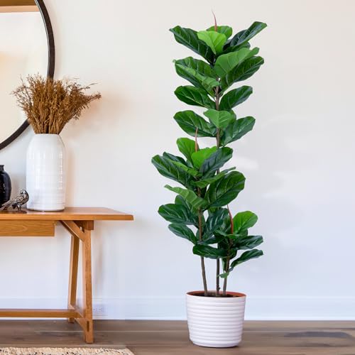 YEPDIN Artificial Fiddle Leaf Fig Tree 5FT Faux Fiddle Leaves Fig Tree Artificial Plants in Pot for Indoor Outdoor Fake Tree Plants - style: 5 FT