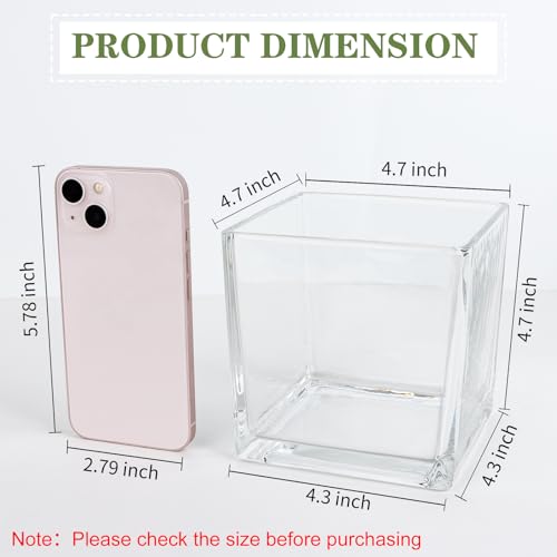 Set of 6 Square Glass Vases 5" x5" x 5", Clear Flower Vases for Centerpieces, Candle Holder for Wedding Party Events, Home Décor - size: 5inch