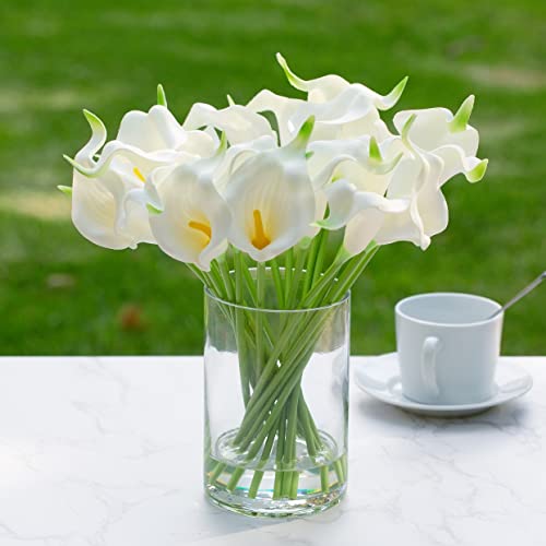 Enova Floral Clear Glass Cylinder Vase 6 x 10 Inches Round Flower Vase, Pillar Candle Floating Candle Holder Vase, Tall Glass Vase for Flowers, Glass Vase for Decor, Wedding Centerpieces (1 Piece) - size: 6W x 10H
