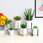 Gold pencil cup Sturdy metal frame with white ceramic pen holder For desks and kitchen appliance holders - color: White gold, size: H 4.6''