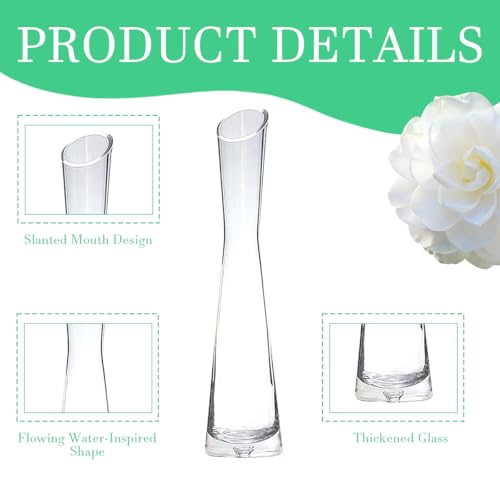 Clear Glass Thin Narrow Necked Bud Vase Slim Single Stem Flower Vase Floral Vase Centerpiece for Wedding Party Home Table Decor - size: 20cm/7.9inch