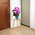 Plant Stand stool for Plant Small Plants Stand - Plant Table Mid Century Plant Stands