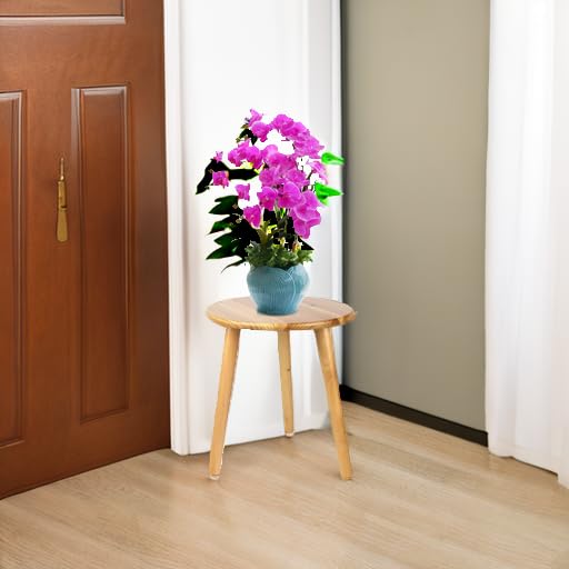 Plant Stand stool for Plant Small Plants Stand - Plant Table Mid Century Plant Stands
