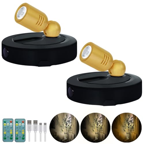 HAMVIDNE Rechargeable LED Spotlight, 3 Lighting Modes Battery Powered Indoor Spotlights with Remote, Uplighting for Trees Plants, Dimmable Timer Picture Spot Light for Wall Artwork-2Pack - color: Rechargeable-Black-G