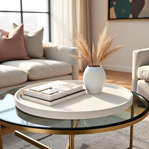 25 x 25 inches high-end Light Luxury Leather Round Oversized Service Tray, Ottoman Tray，Coffee Tray, Food Tray, Family Dinner, Out-of-House Picnic, Party Essential Tray (25 inch Beige) - color: 25 Inch Beige