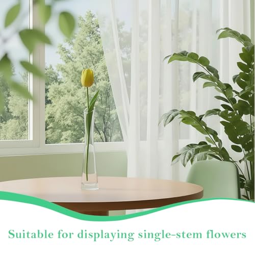25cm/9.8inch Tall Clear Glass Thin Narrow Necked Bud Vase Slim Single Stem Flower Vase Floral Vase Centerpiece for Wedding Party Home Table Decor - size: 25cm/9.8inch