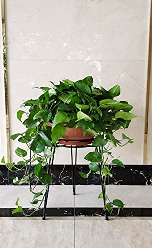 Midcentury Modern Metal Potted Plant Stand 18.7 inches Tall Flower Pot Holder Large Rustproof Iron Garden Container Heavy Duty Rack for Planter,Black (18.7 inches Tall Black) - color: 18.7 inches Tall Black