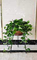 Midcentury Modern Metal Potted Plant Stand 18.7 inches Tall Flower Pot Holder Large Rustproof Iron Garden Container Heavy Duty Rack for Planter,Black (18.7 inches Tall Black) - color: 18.7 inches Tall Black