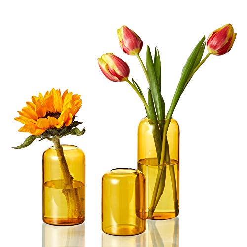 ZENS Glass Bud Vase Set of 3, Hand Blown Small Amber Bud Vases for Flower Decorative, Modern Cylinder Clear Glass Vase for Wedding,Living Room Home Décor - color: Medium Amber, size: 3pcs