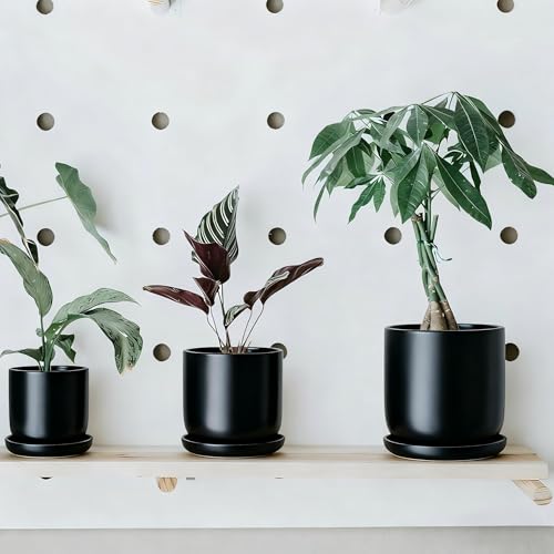 Ceramic Plant Saucer Pot Tray 6, 8, 10 Inch Black, Planter Saucers for Indoors Outdoor, Durable Sturdy Flower Drainage drip Water Tray for Glazed Pots Base - color: Black, size: 6+8+10in 3pack