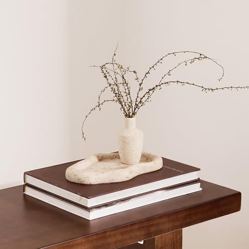 Cloud-Shaped Resin Jewelry Tray, Beige Travertine Vanity Tray for Bathroom Countertop, Trinket Candle Dish, Perfume Holder, Decorative Ottoman Tray for Home Decor Coffee Table Dresser - style: Cloud shaped