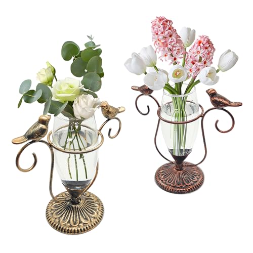 2 Pack Desktop Plant Terrarium,Bird Art Glass Propagation Vase, Propagation Planters with Vintage Metal Frame, Suitable for Decoration of Desktop Hydroponic Plants in Office and Living Room - color: Bird