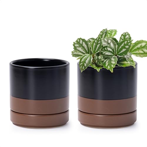 D'vine Dev Set of 2 Plants Pots, 4.7 Inch Ceramic Planter Pot for Plants with Drainage Hole and Saucer, Black/Speckled Tan, 94-V-B-7 - color: Black/Speckled Tan, size: 4.7 Inch